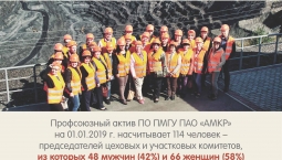 ПО ПМГУ. Профактив ПО ПМГУ. Профактив